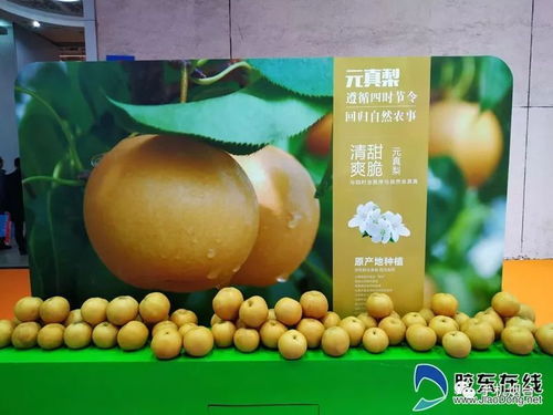 第十九届国际果蔬 食品博览会开幕 高清图 美翻了 展会上的奇珍异果