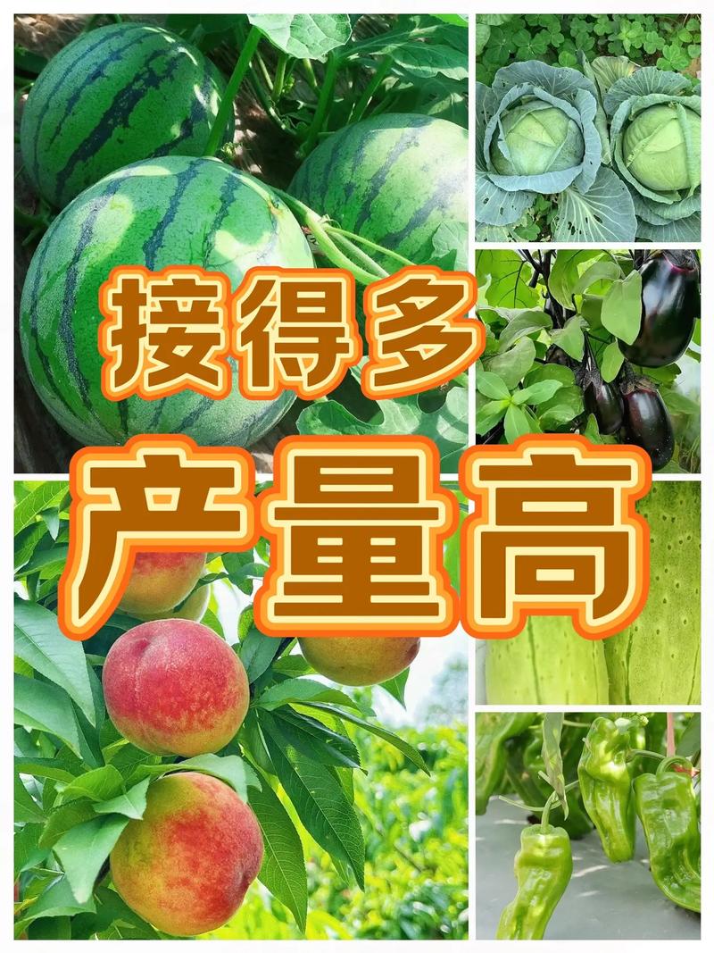 1月前&middot;江西 0 分享 回复 燕子农资工厂店